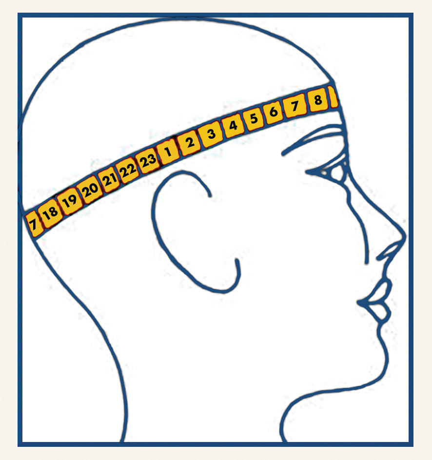 Head sizes - not one size fits all! – thecapalog